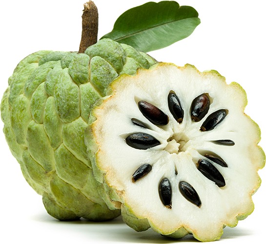 Cherimoya