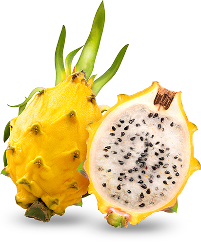 Dragon Fruit Pitaya Yellow Fruit