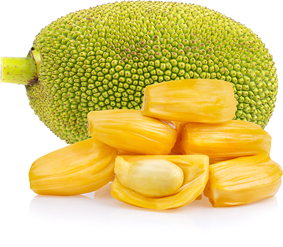 Jack Fruit