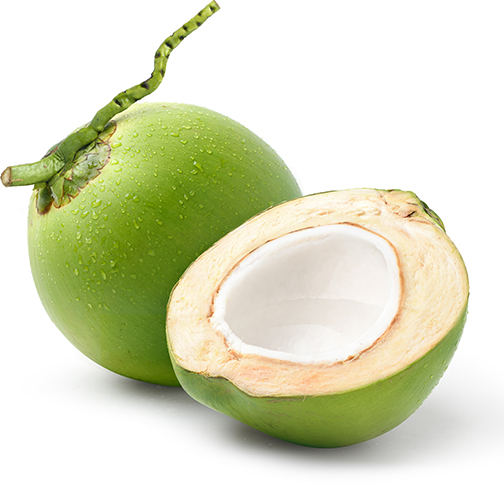 Young Coconut