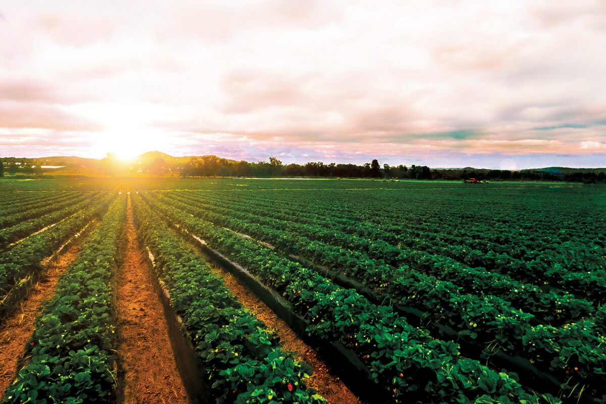 Canada North America RGB Produce