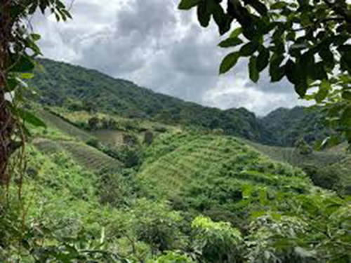 Nicaragua Central America RGB Produce